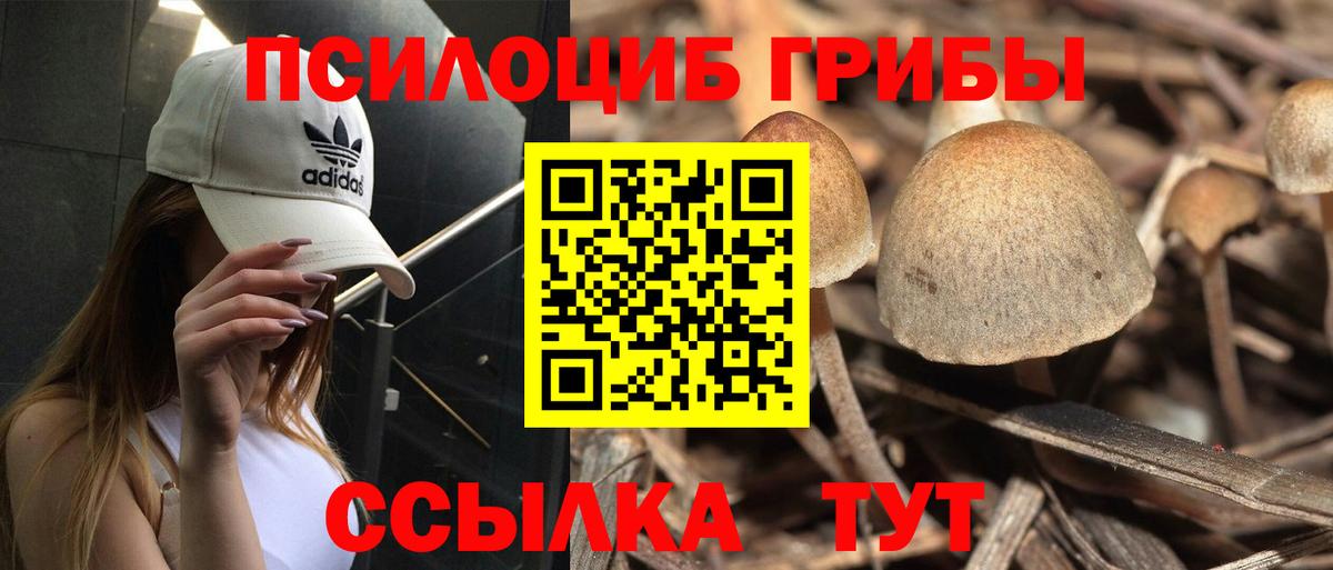 Псилоцибиновые грибы прущие грибы Кушва